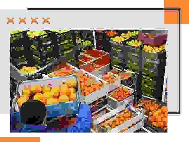 Перевозка скоропортящихся продуктов в Дальнереченске